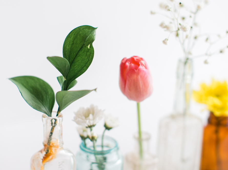 In the image, we can see five improvised vases with bottles and jars, each containing a flower or plant.