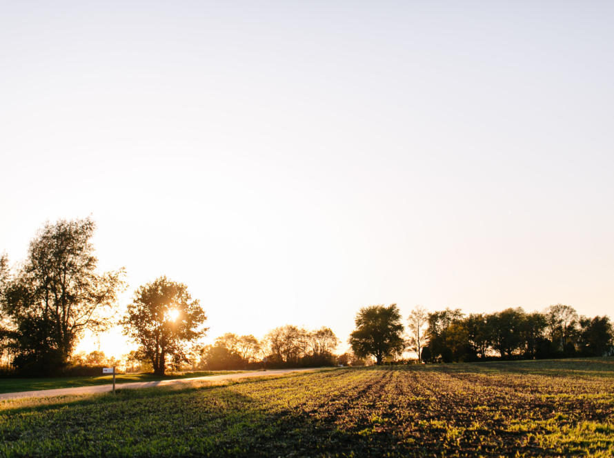 a green field with a row of different sized trees in the distance. In the background is a sunset, with the sunlight breaking through the trees.