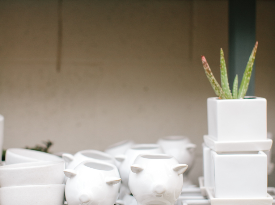 156 / 5.000 In the image we can see several pots made in three formats: some oval, others rectangular, and others shaped like little pigs, all in white.