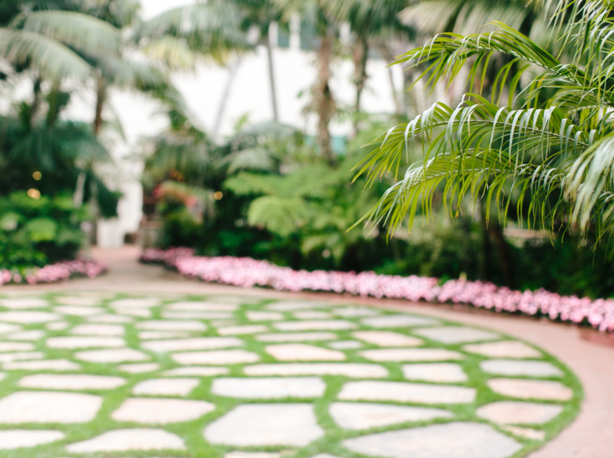 In the image, we can see a very beautiful and well-maintained indoor garden with lots of greenery.